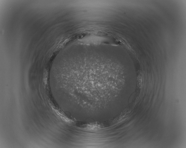 X0000080180458200701051701