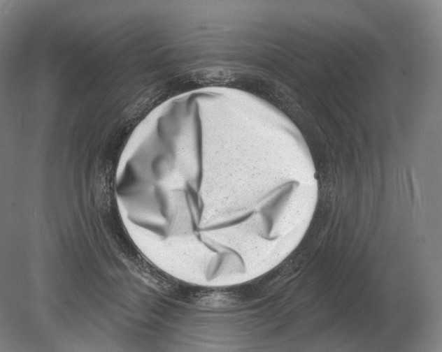 X0000080180460200701051701