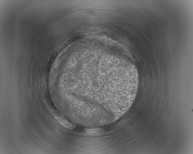 X0000080180461200701051701