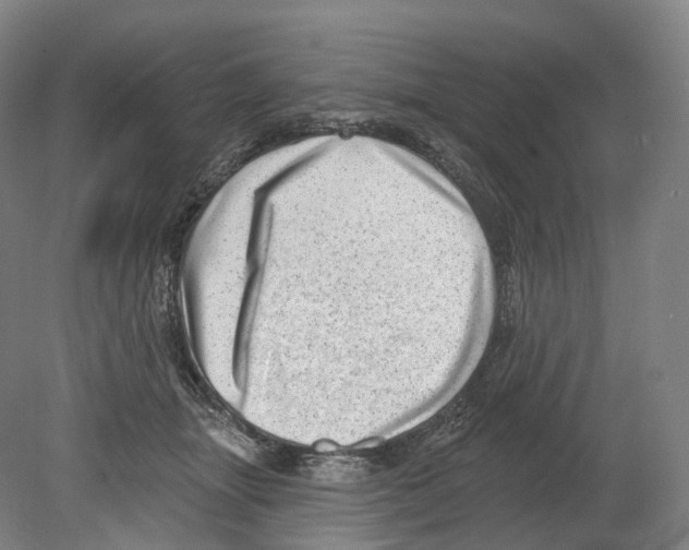 X0000080180463200701051701