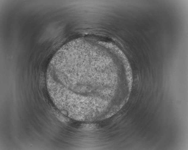 X0000080180469200701051702