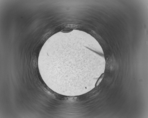 X0000080180474200701051702