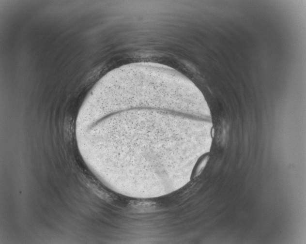 X0000080180476200701051702