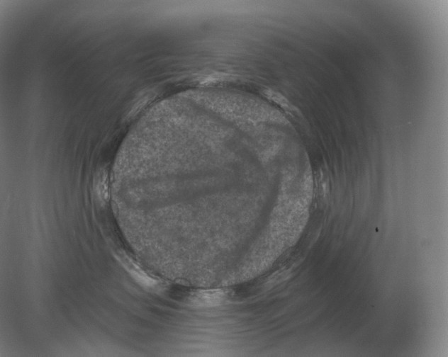 X0000080180479200701051702