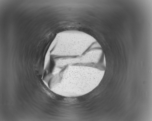 X0000080180480200701051702