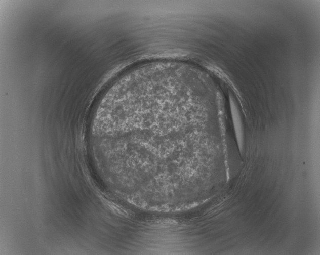 X0000080180483200701051701