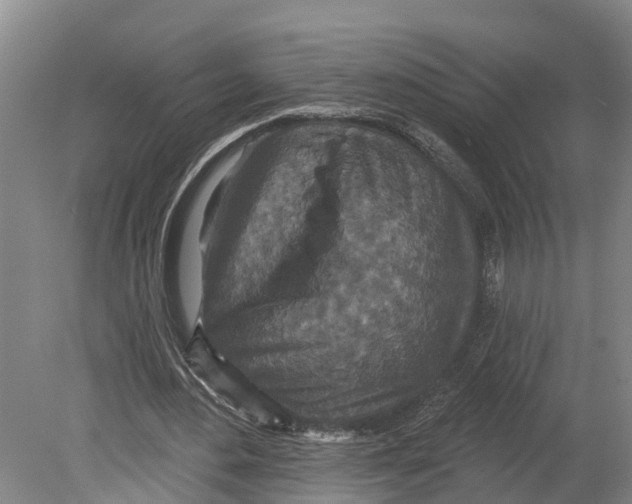 X0000080180484200701051701