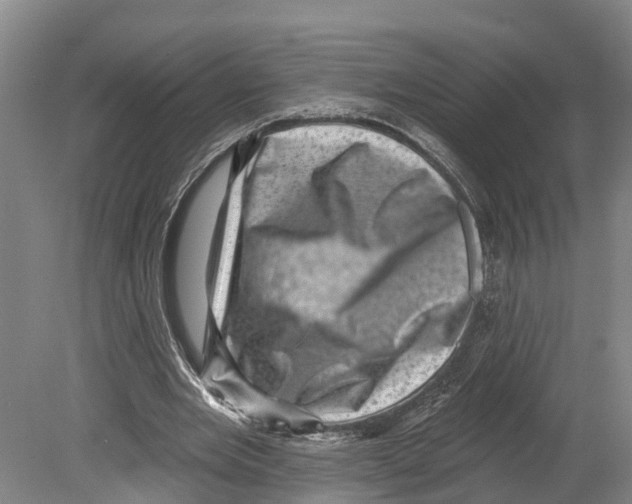 X0000080180485200701051701