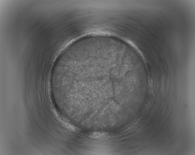 X0000080180487200701051701