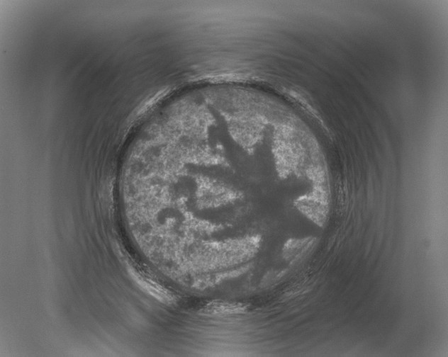 X0000080180491200701051701