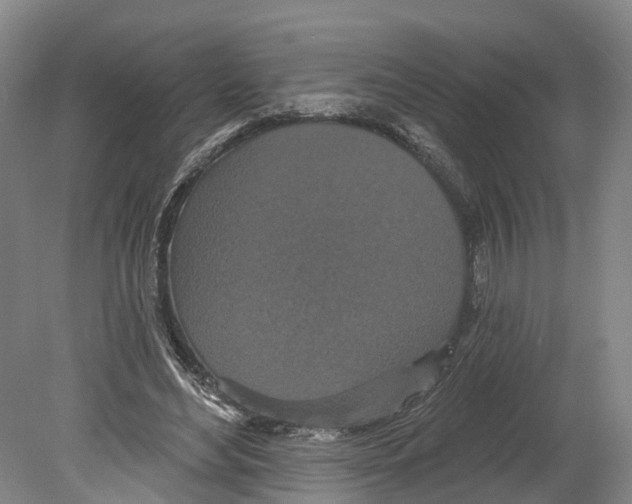 X0000080180492200701051701