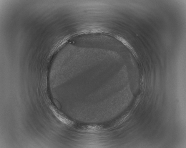 X0000080180493200701051701