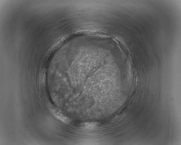 X0000080180495200701051701