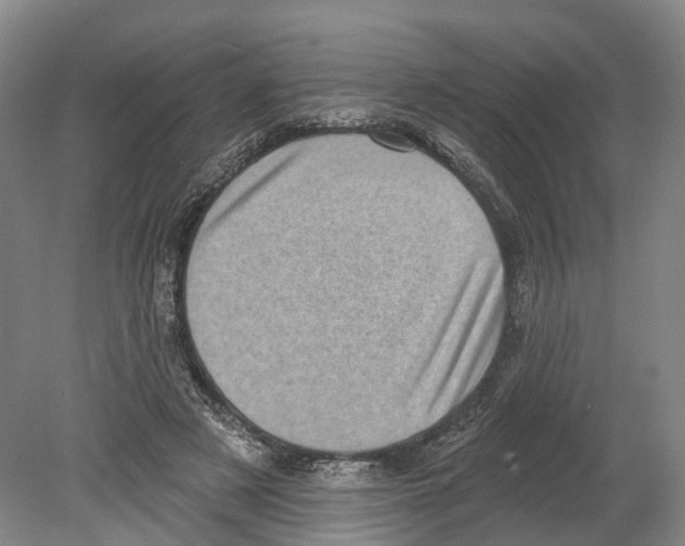 X0000080180497200701051701