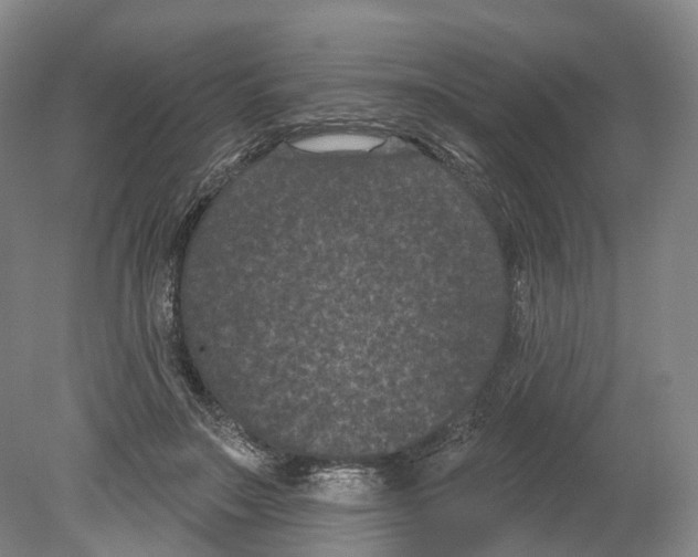 X0000080180499200701051701