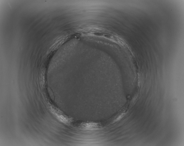 X0000080180501200701051701