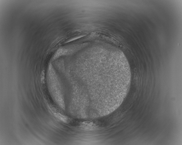 X0000080180502200701051701