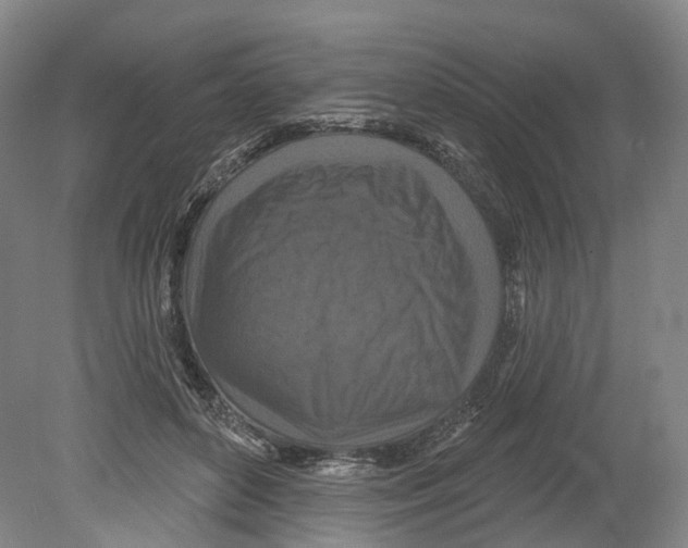 X0000080180504200701051701