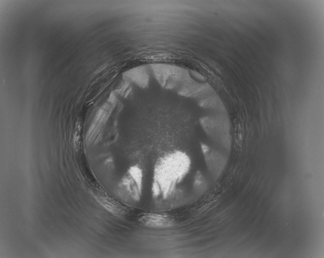 X0000080180507200701051700