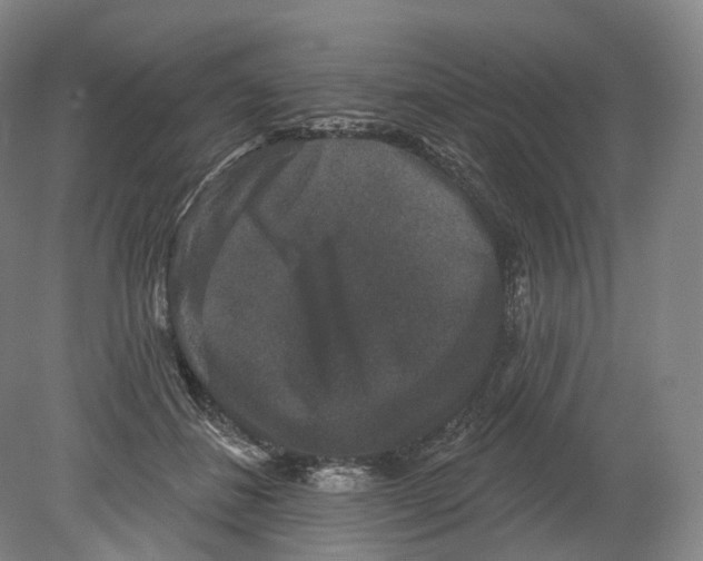 X0000080180508200701051700