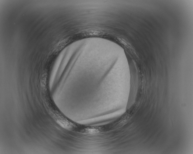 X0000080180509200701051700