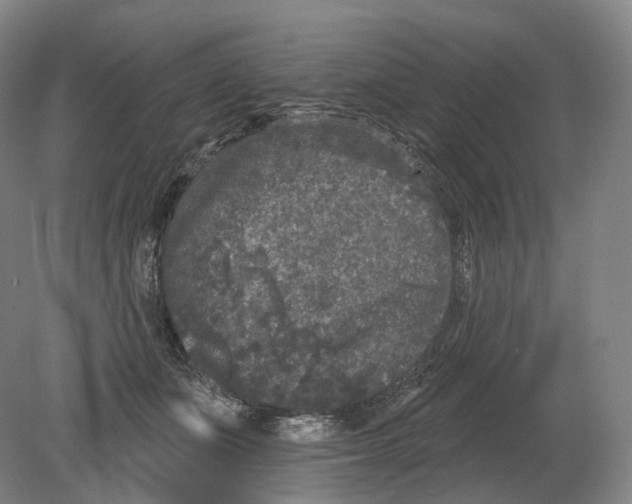 X0000080180511200701051700