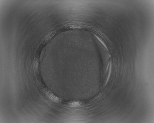 X0000080180513200701051700