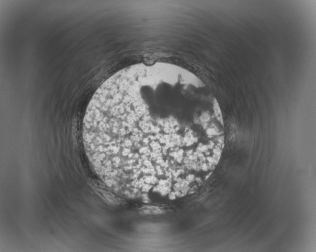 X0000080180519200701051700