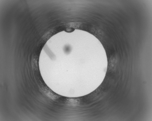 X0000080180522200701051700