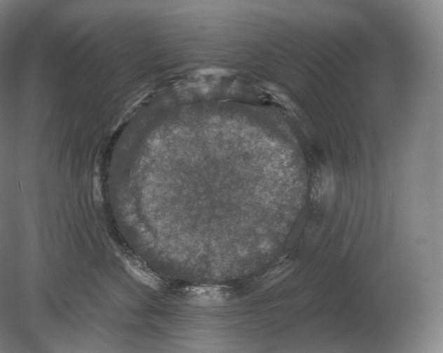 X0000080180524200701051700