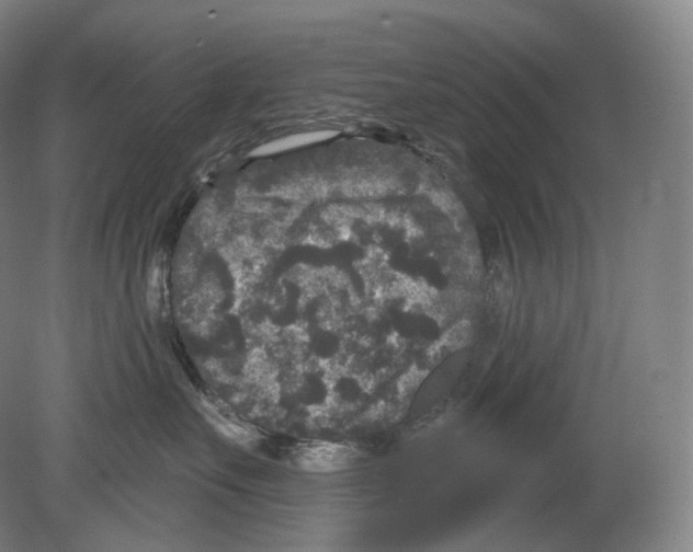 X0000080180527200701051700