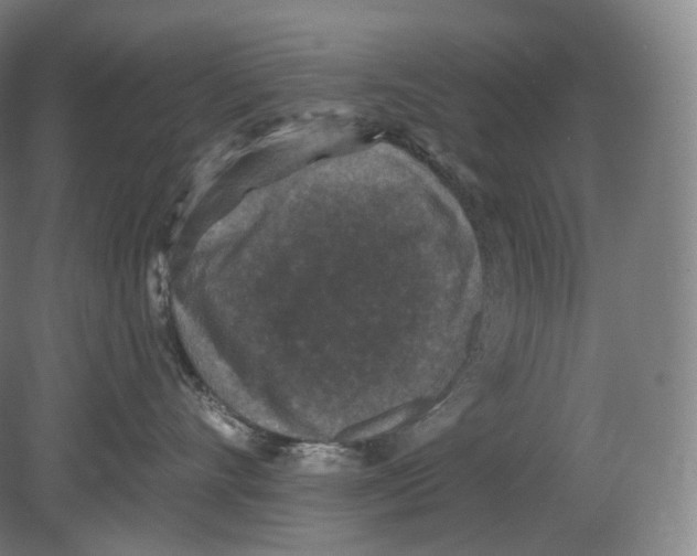 X0000080180528200701051700