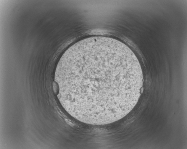 X0000080180529200701051659