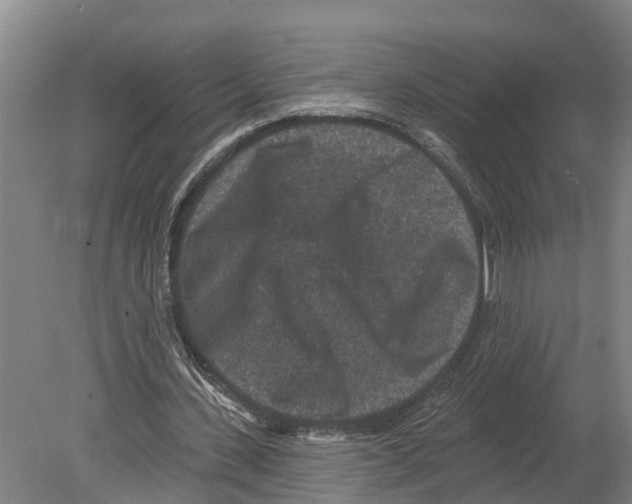 X0000080180531200701051659