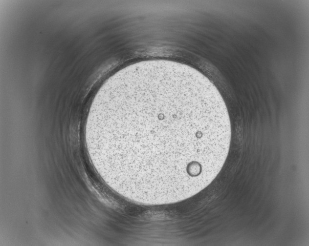 X0000080180534200701051659