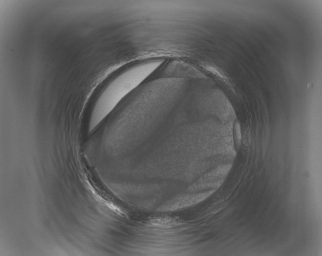 X0000080180540200701051659