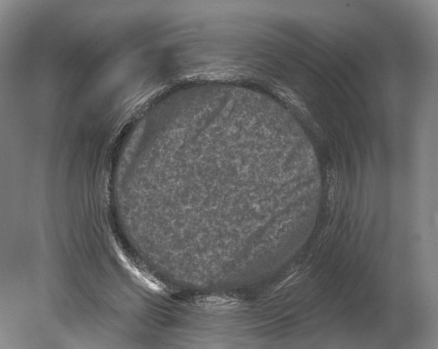 X0000080180542200701051700