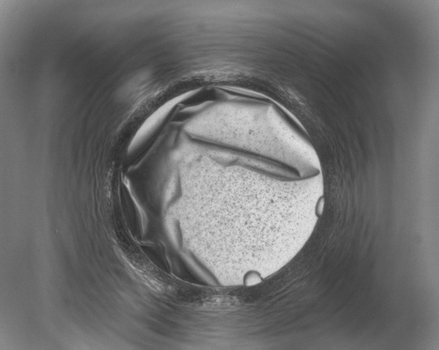 X0000080180543200701051700