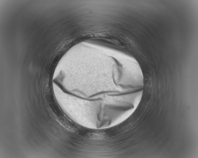 X0000080180548200701051700