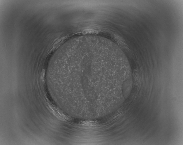 X0000080180550200701051700