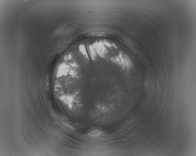 X0000080180551200701051700