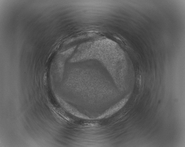 X0000080180552200701051700