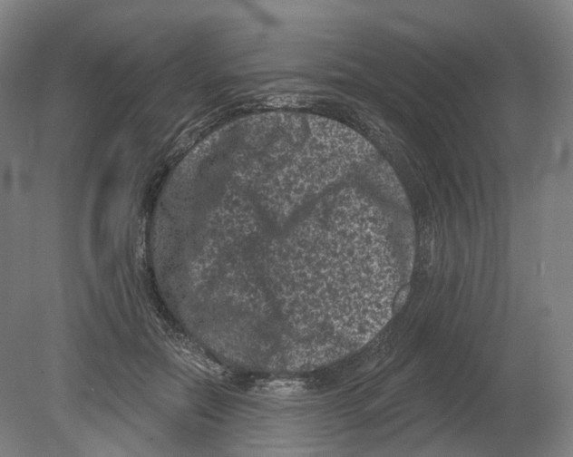 X0000080180554200701051700