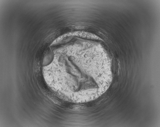 X0000080180555200701051700