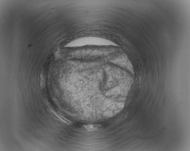 X0000080180558200701051700