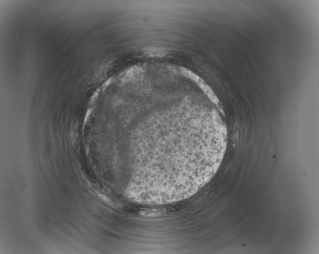 X0000080180559200701051700