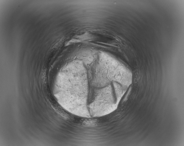 X0000080180560200701051700