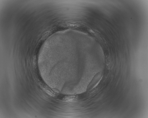 X0000080180563200701051700