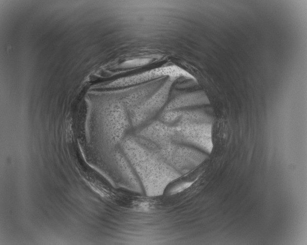 X0000080180564200701051700