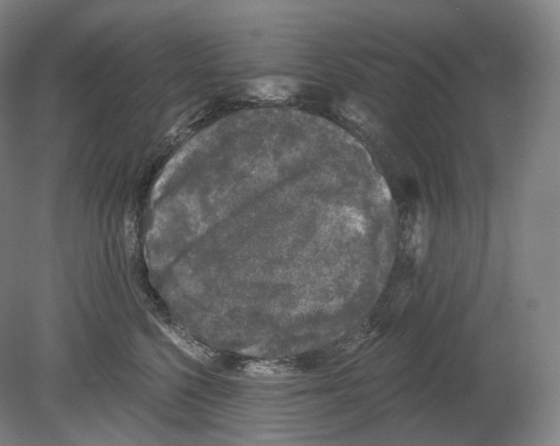 X0000080180568200701051700